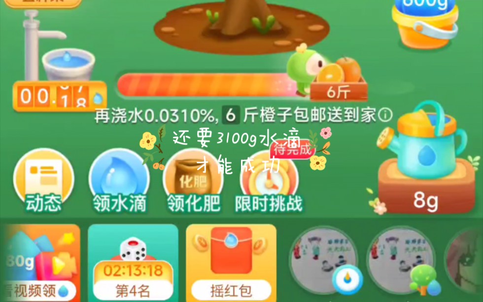 冲刺拼多多多多果园最后0.1%,但是到最后没有水滴了