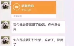 没有人能从这四个故事中笑着走出来，中文互联网四大悲剧