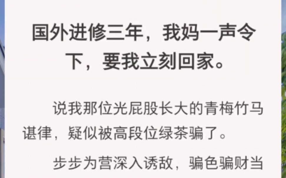 国外进修三年,我妈一声令下,要我立刻回家.说我那位光屁股长大的青梅竹马谌律,疑似被高段位绿茶骗了.步步为营深入诱敌,骗色骗财当提款机.谌妈...