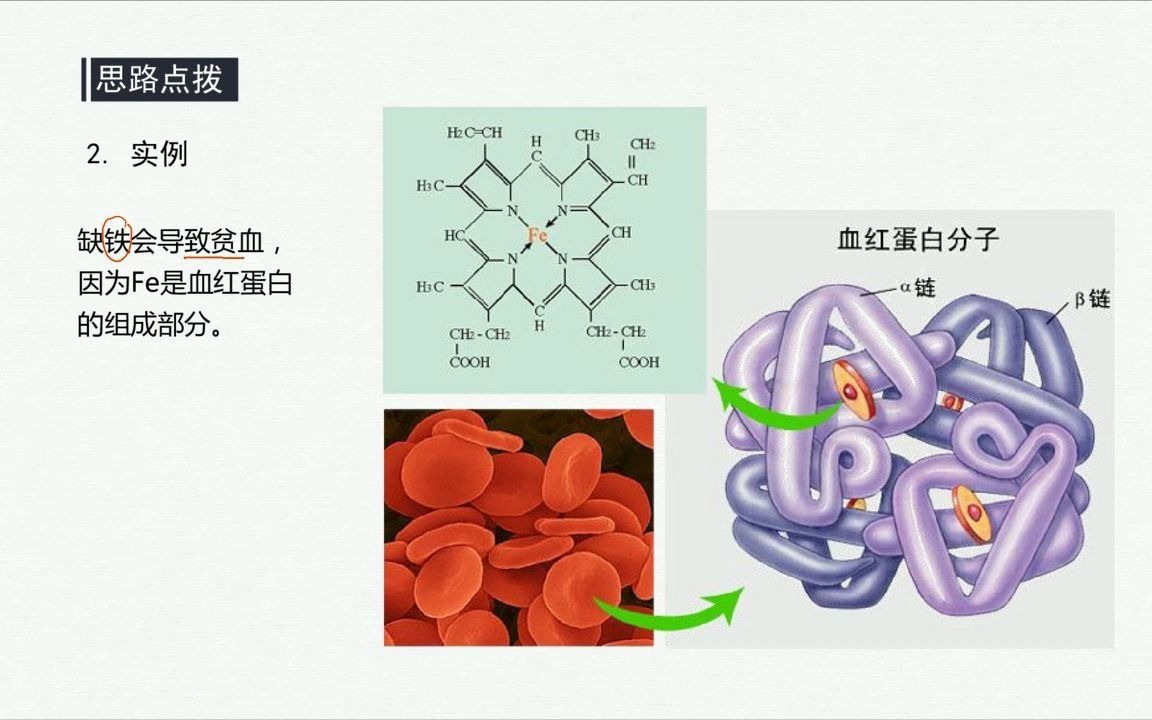 无机盐的存在形式及功能哔哩哔哩bilibili