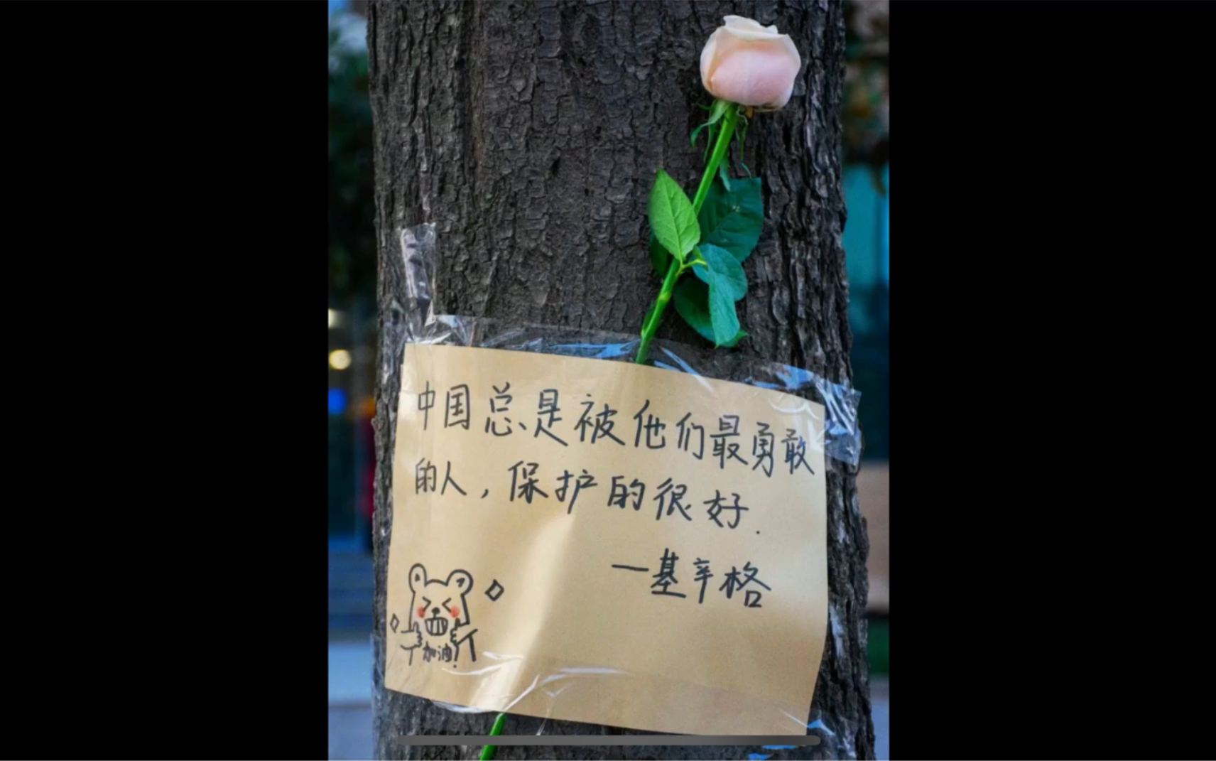 [图]西安学生的破防：我真的在一个很浪漫的学校