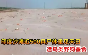 Download Video: 画面令人毛骨悚然！印度沙滩近500具尸体重见天日，遭鸟类野狗蚕食