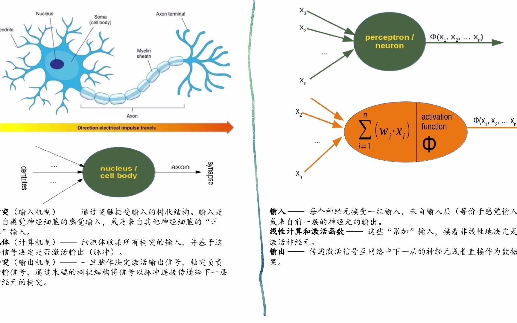 ANN第一课  Artificial Neural Network的基本介绍哔哩哔哩bilibili