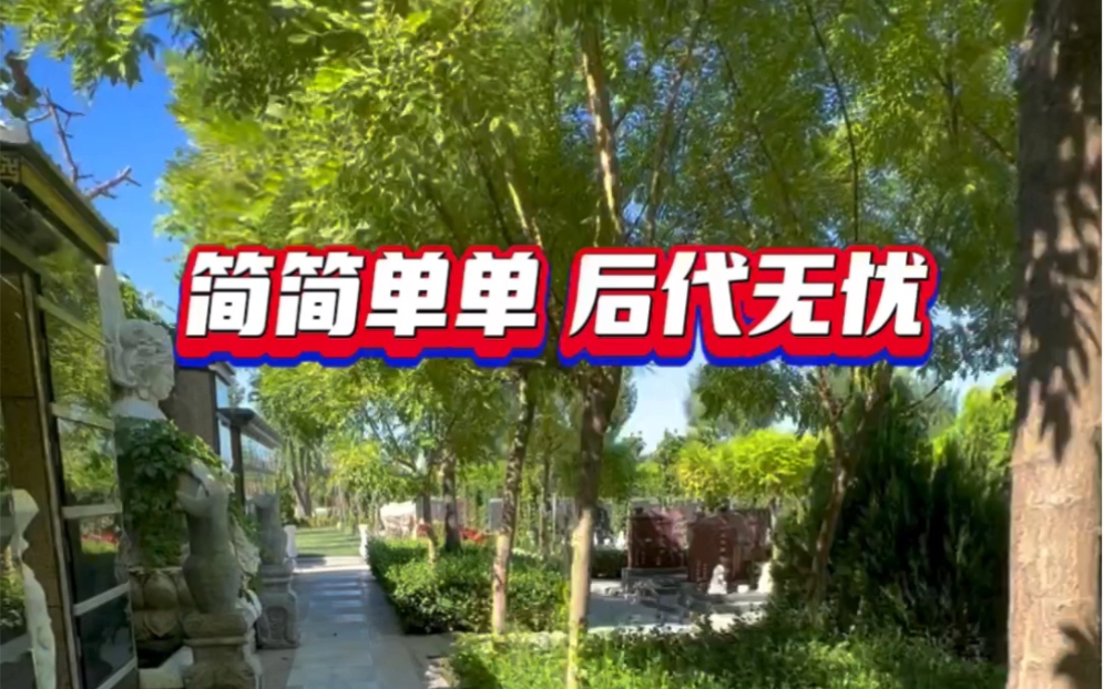 植树葬的树会不会伤到骨灰盒?哔哩哔哩bilibili