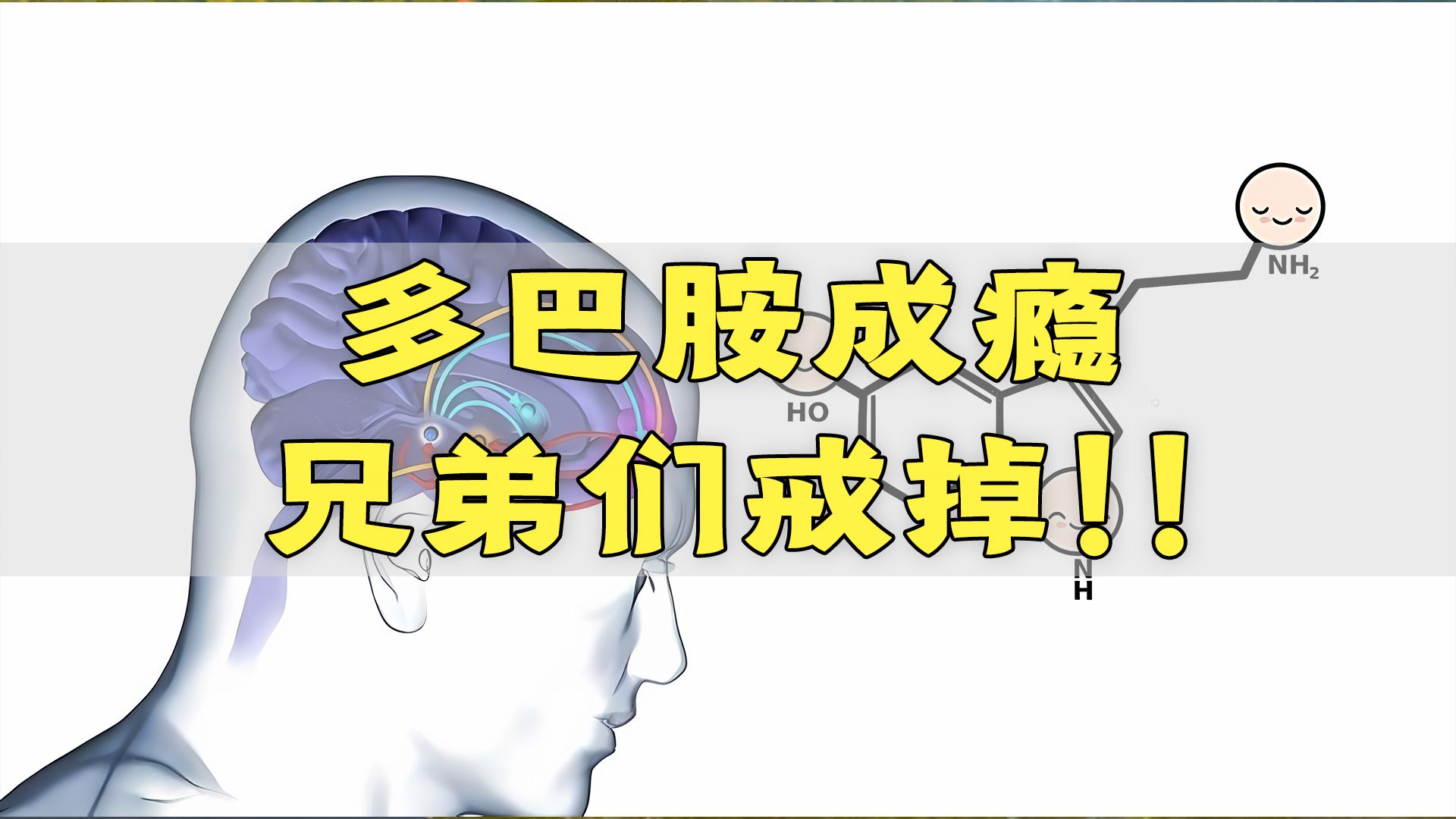 色情片是如何摧毁你的大脑的?这个视频请一定要看完哔哩哔哩bilibili