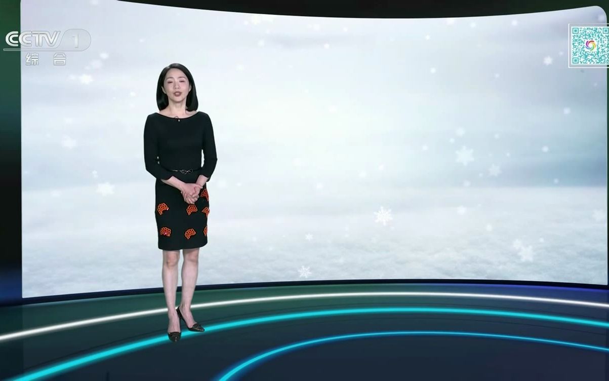 cctv1 2023.11.11 19:29:30-19:39:26广告,新闻联播片尾