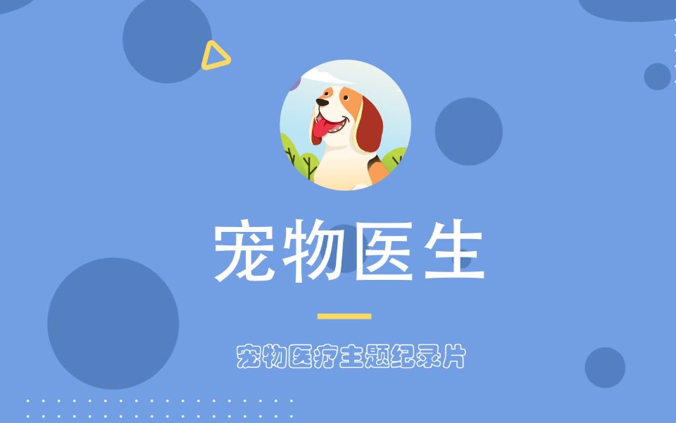 纪录片丨《宠物医生》毕设作品哔哩哔哩bilibili