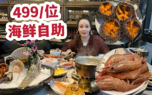 Tải video: 北京自助天花板？499/位海鲜自助实现海胆、牡丹虾自由