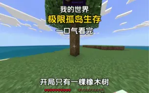 Télécharger la video: 我的世界：耗时3000带你一口气看完极限孤岛生存！