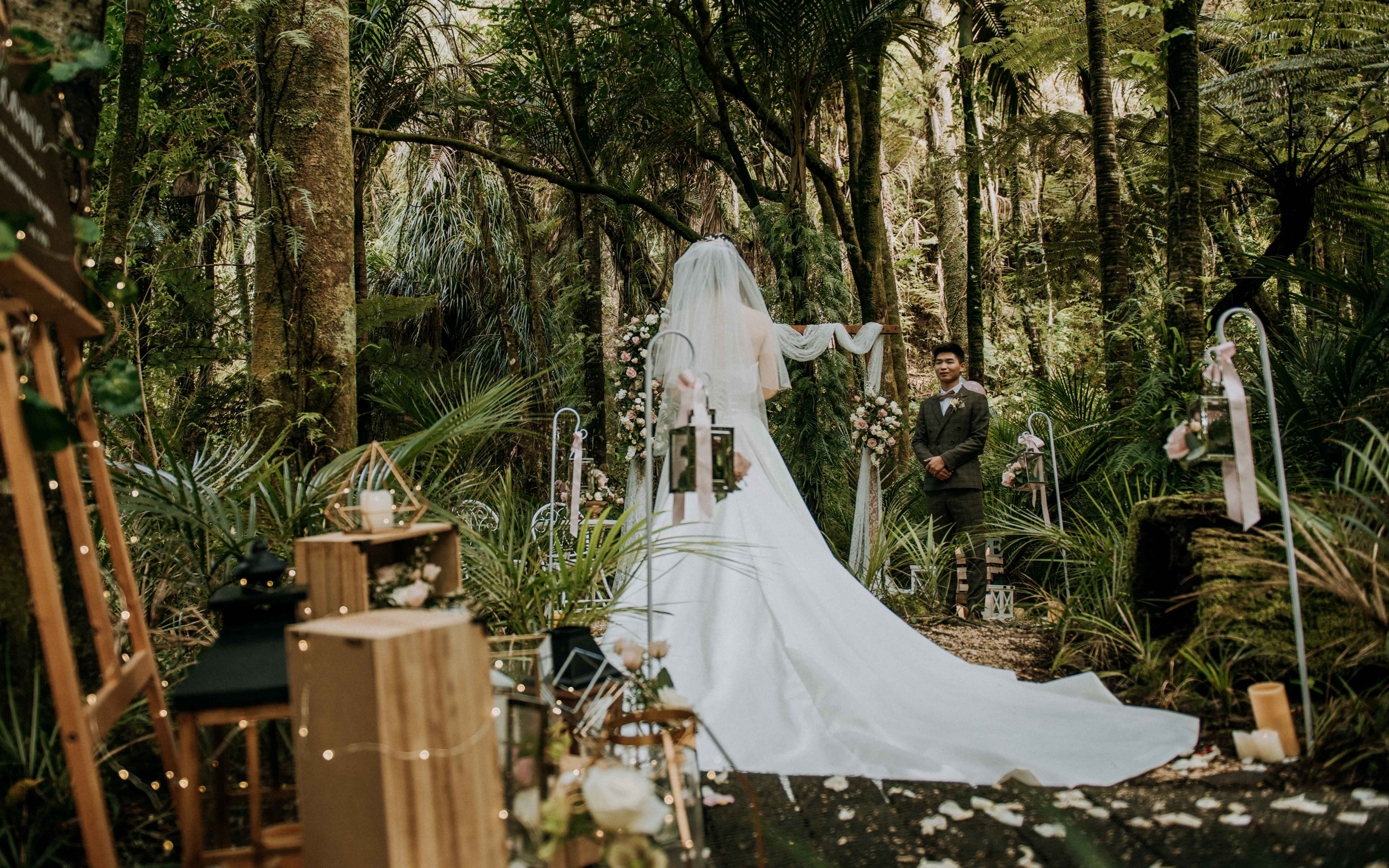 05奥克兰森林婚礼_哔哩哔哩_bilibili