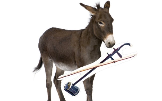 二胡小毛驴自学一分钟二胡拉出来的小毛驴