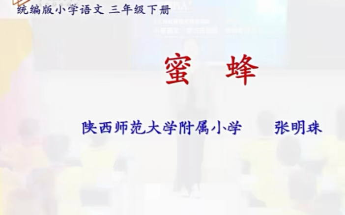 小学三年级下册特级教师示范课《蜜蜂》执教人(张明珠)有配套课件+教案哔哩哔哩bilibili