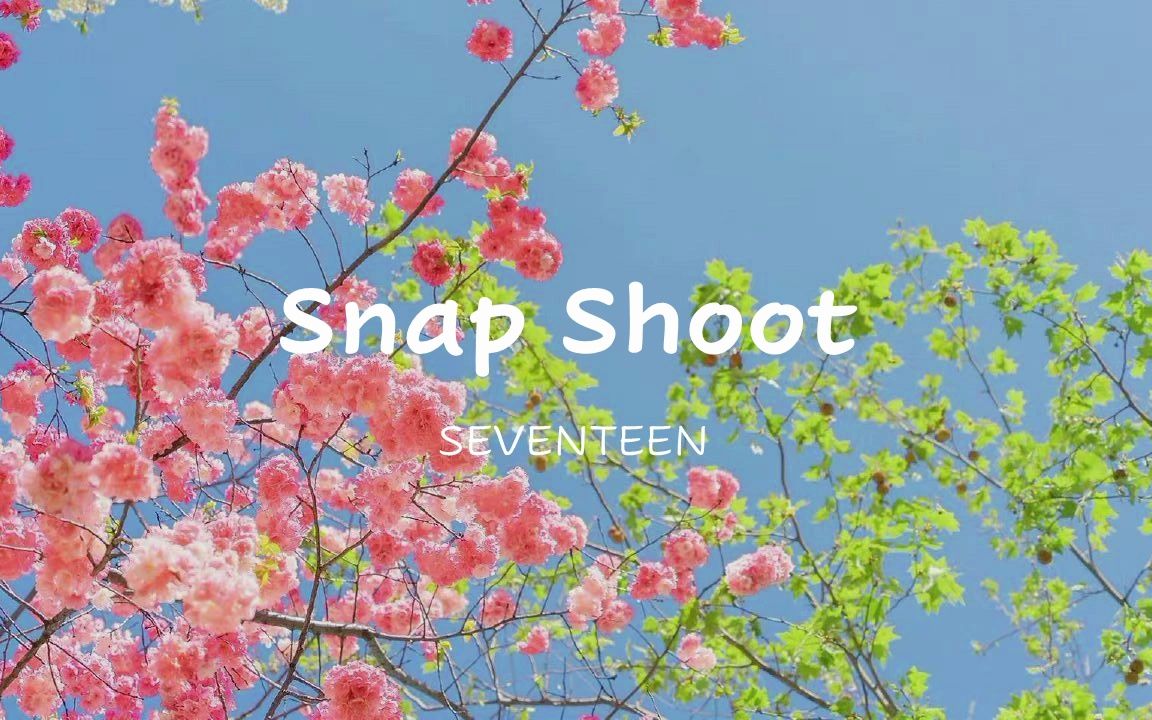 [图]【SEVENTEEN playlist】论次曲与初夏的适配度 | 次曲钢琴版1h | 氛围感纯音乐歌单 | 欢快向 | 学习 | 放松 | 治愈 | 享受阳光