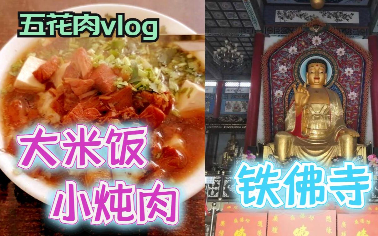 五花肉vlog东光大米饭小炖肉&铁佛寺哔哩哔哩bilibili