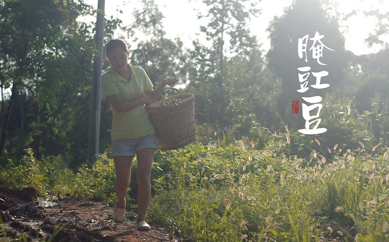 [寻觅家的味道]还记得那些年我们最爱吃的zha豇豆吗?四川巴中纪录片哔哩哔哩bilibili