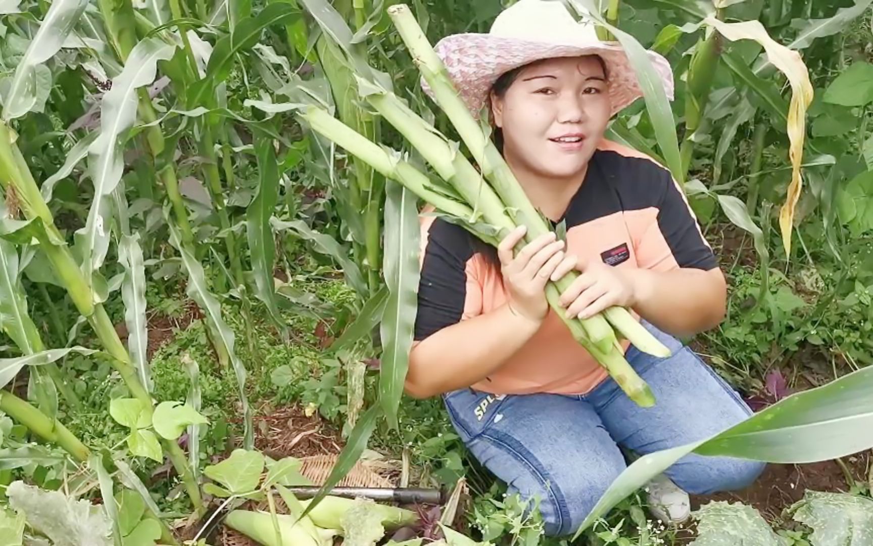 农村姑娘玉米杆当甘蔗吃小时候有多少人吃过呢满满的儿时回忆