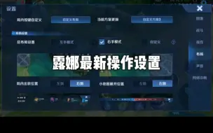 Download Video: 露娜操作设置