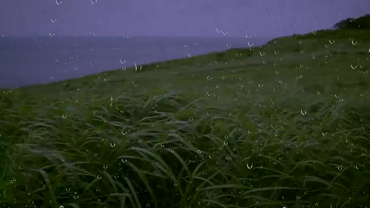 [图]草原风雨声10小时，自然音