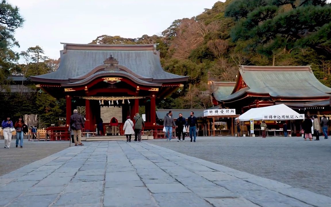 【超清日本】漫步神奈川县镰仓市鹤冈八幡宫 2020.1哔哩哔哩bilibili