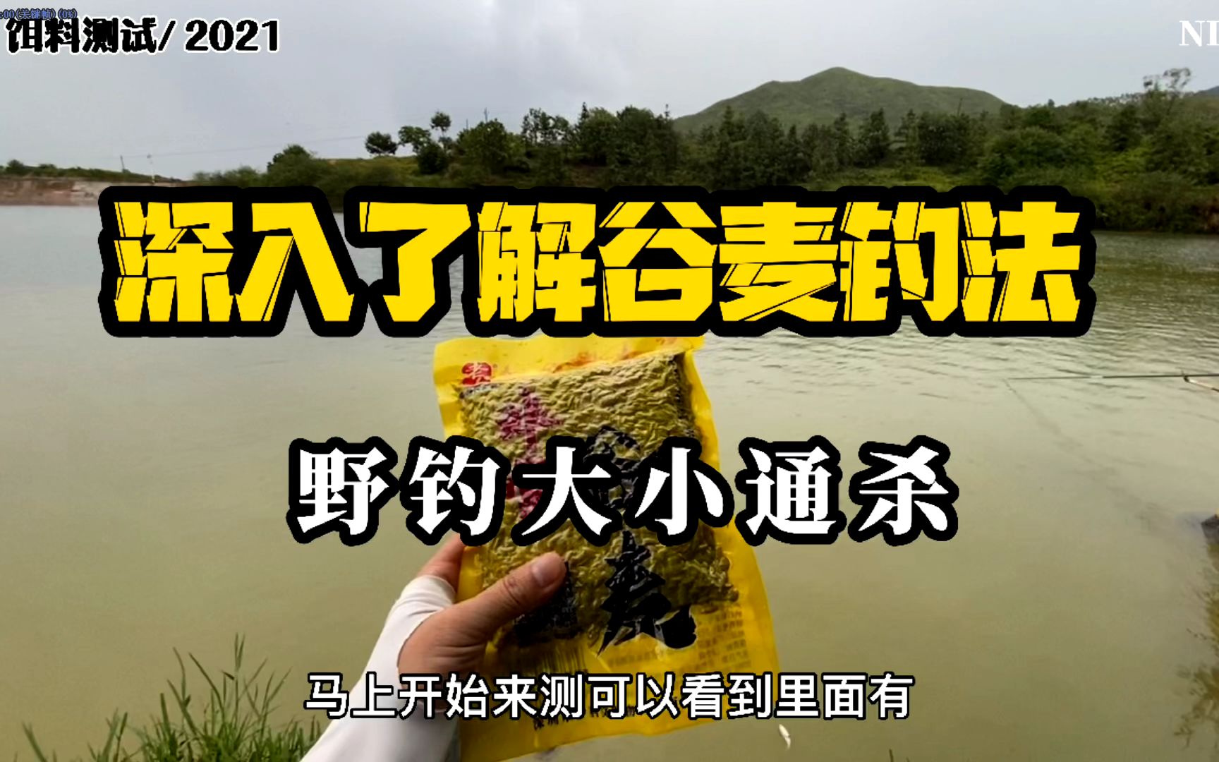 野钓大小通杀?深度了解谷麦钓法,非常谷麦钓鱼饵料测试!哔哩哔哩bilibili