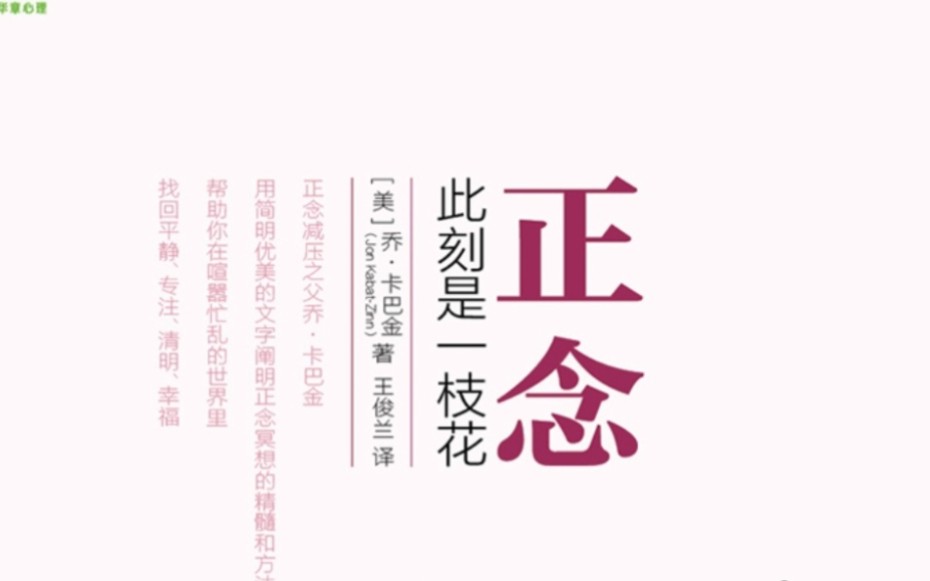 细说正念3哔哩哔哩bilibili