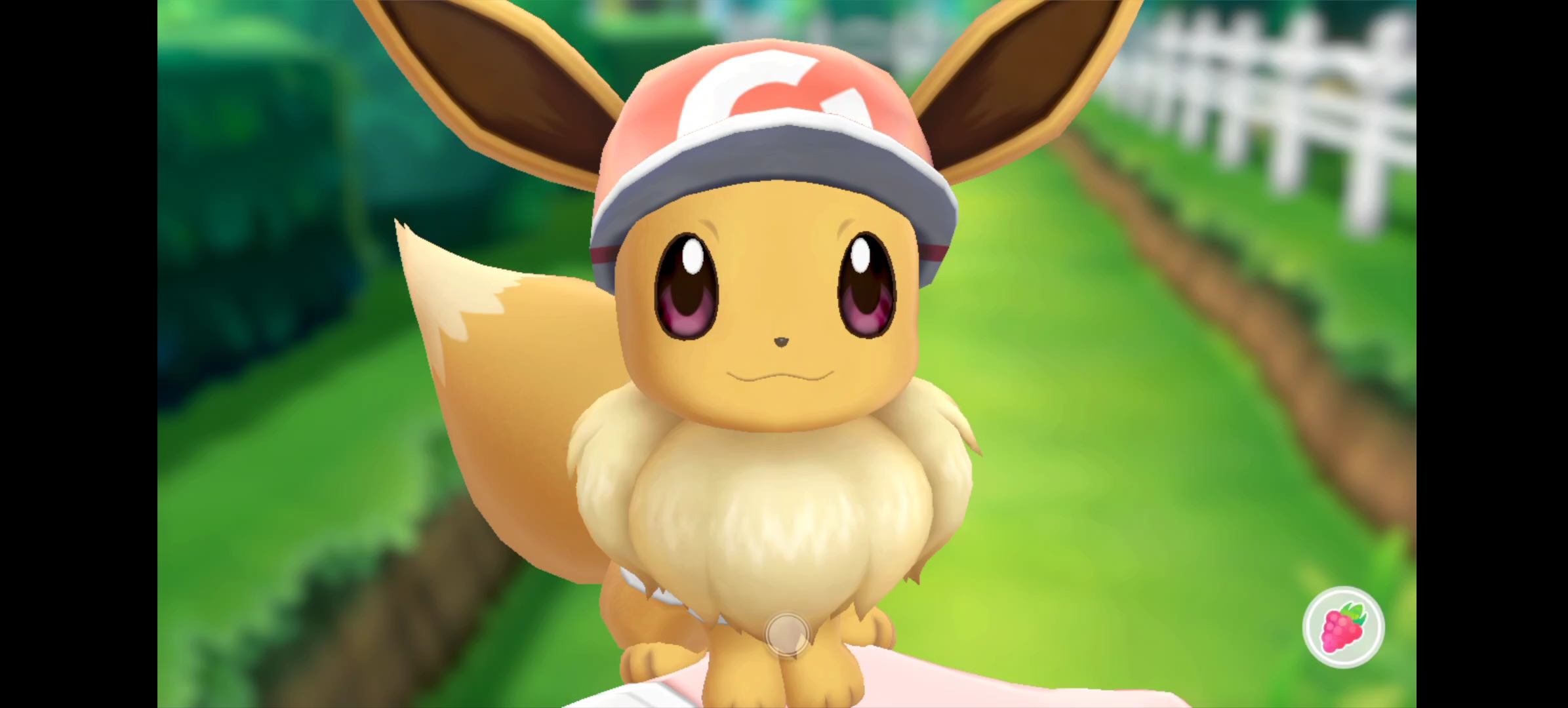 为什么会有伊布这么可爱的宝可梦