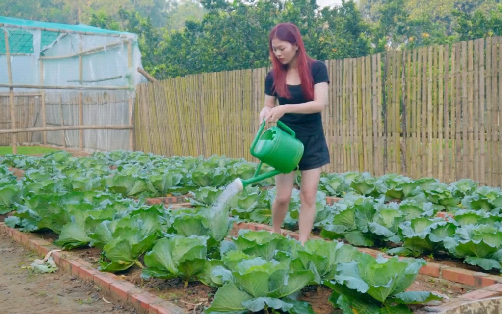 小美开始当家作主,制作床和沙发,培养清洁蔬菜.哔哩哔哩bilibili