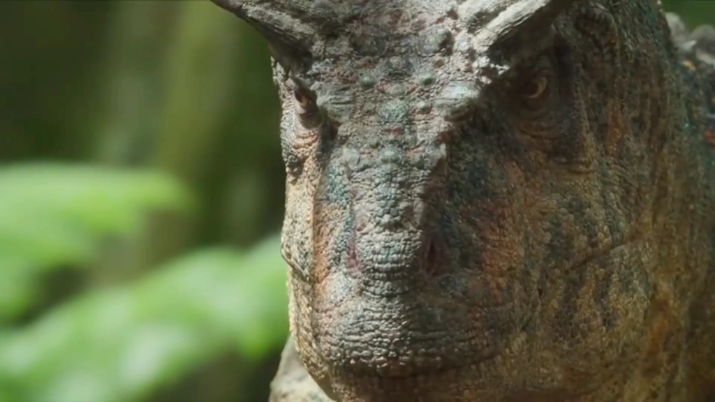 恐龙哥用妖娆的舞姿表白了