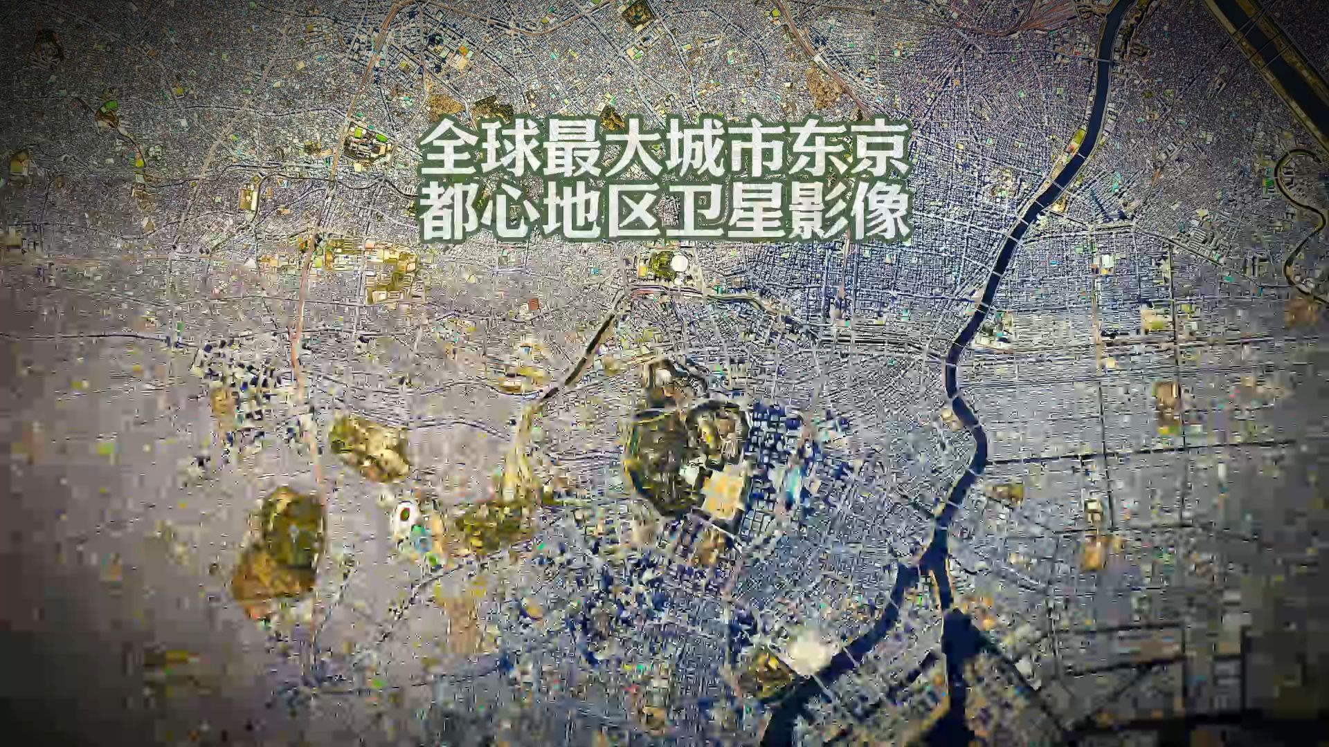 全球最大城市东京都心地区卫星影像