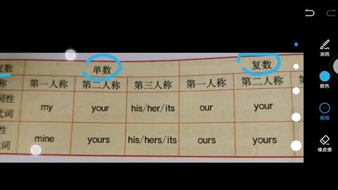 英译人称代词表 哔哩哔哩