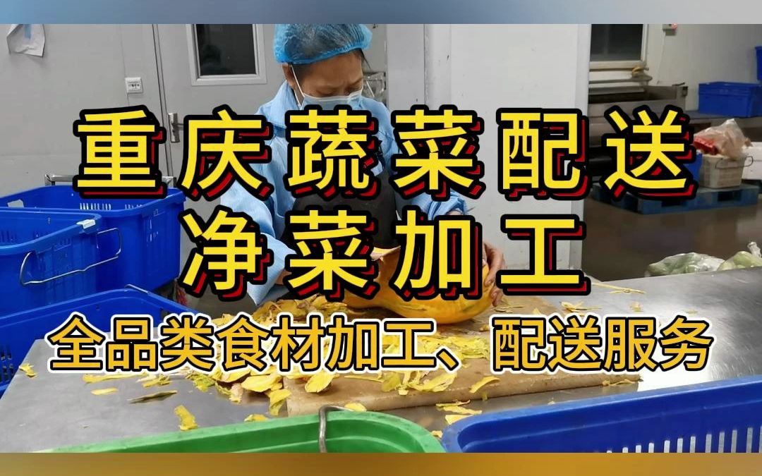 蔬菜基地直采直供,各大商超配送上门,重庆主城新鲜蔬菜配送#蔬菜配送 #重庆蔬菜配送哔哩哔哩bilibili