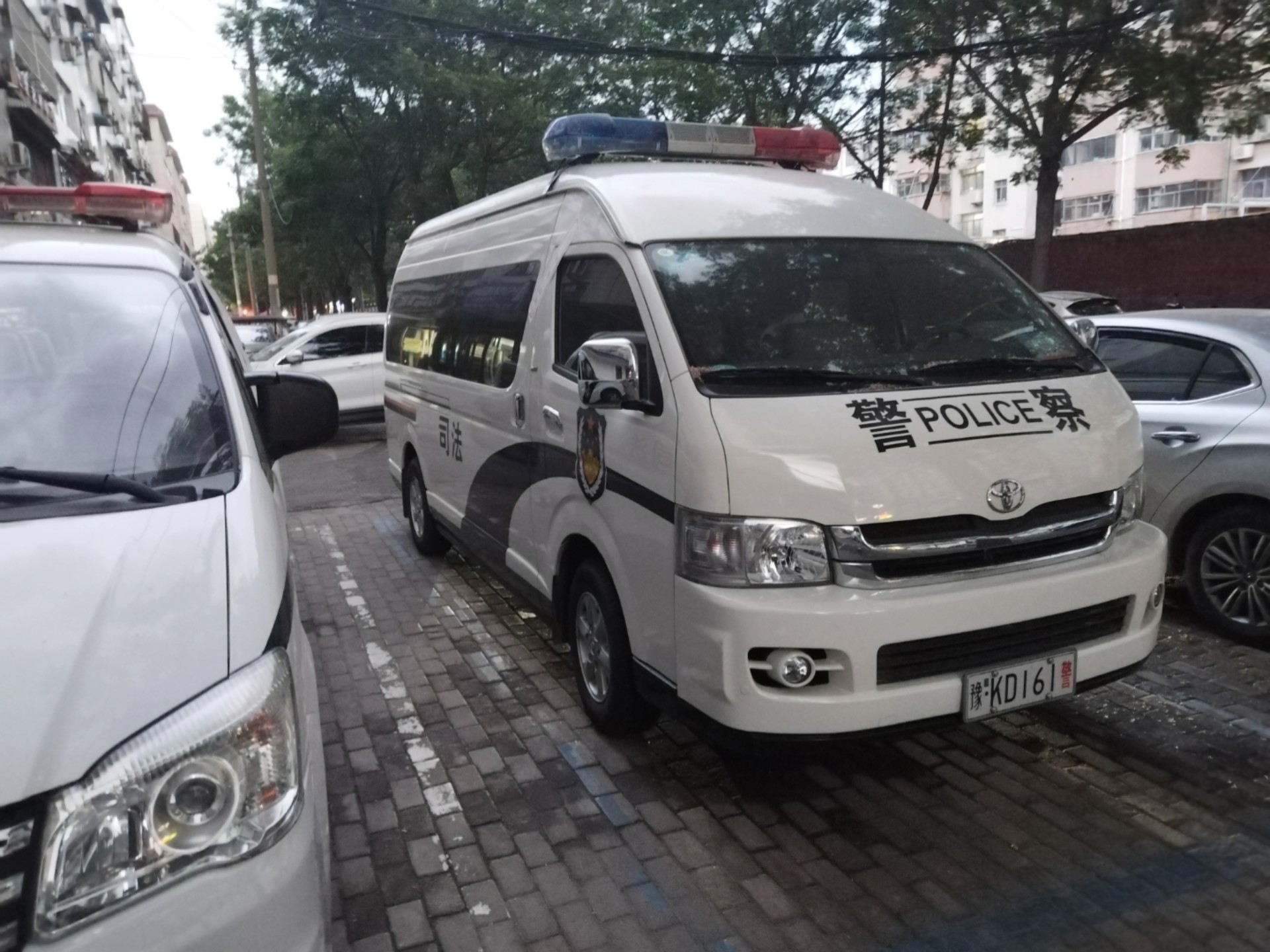 首次出镜&丰田海狮