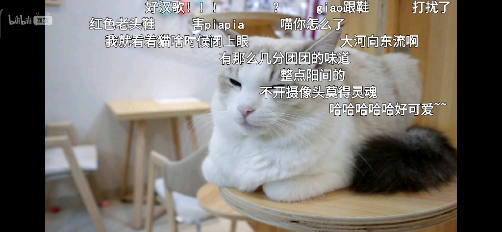 二喵的饭可可爱爱没有脑袋