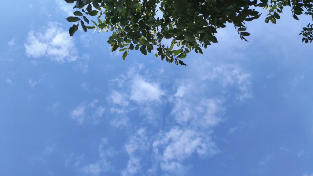 【生活】今天的风很凉爽