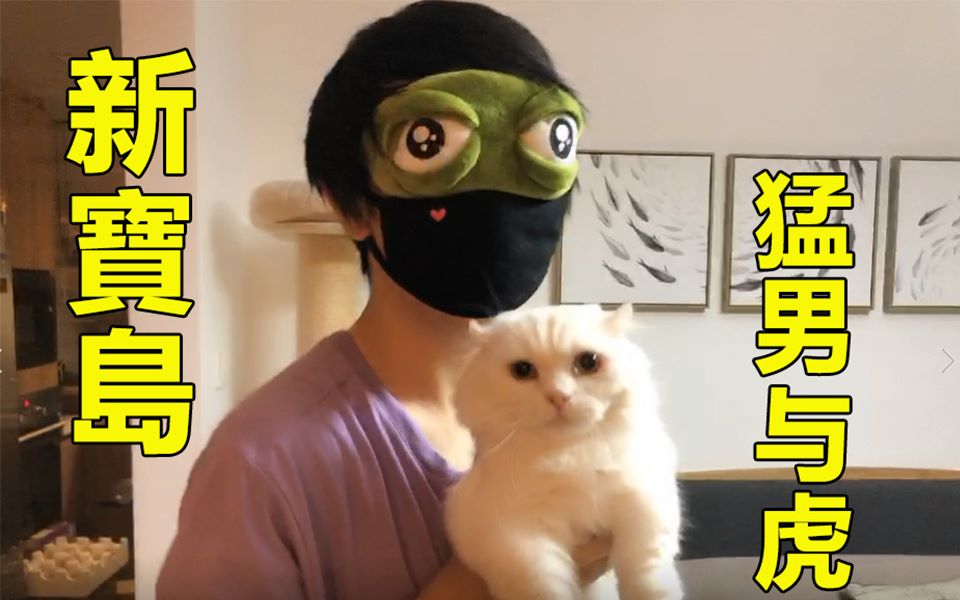 活动作品新宝岛这是猛男版与猛虎的一次结合