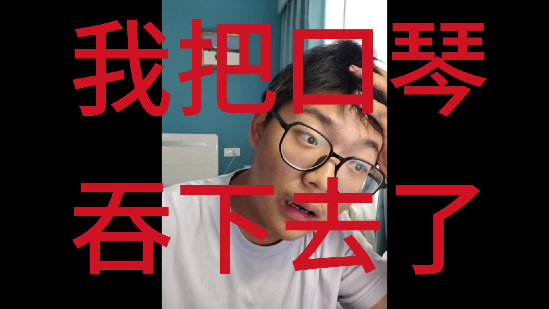 我把口琴吞下去了海报