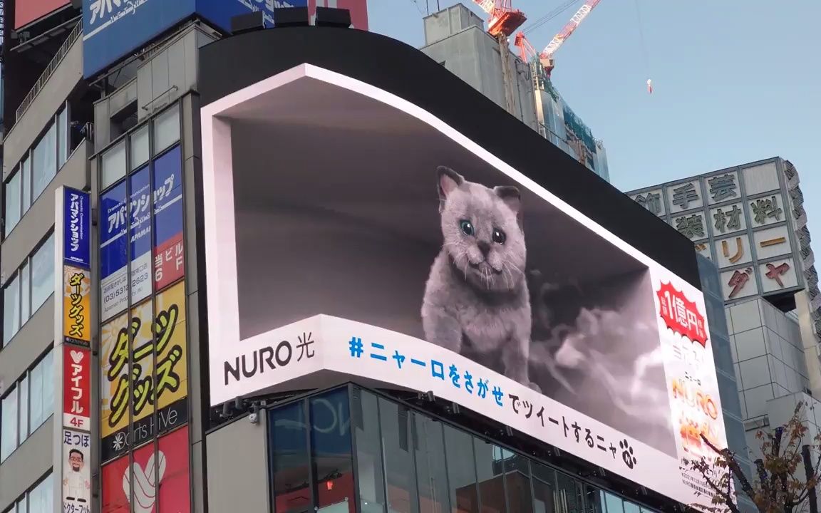 视效分享 | 新宿街头睡觉的3d小猫猫