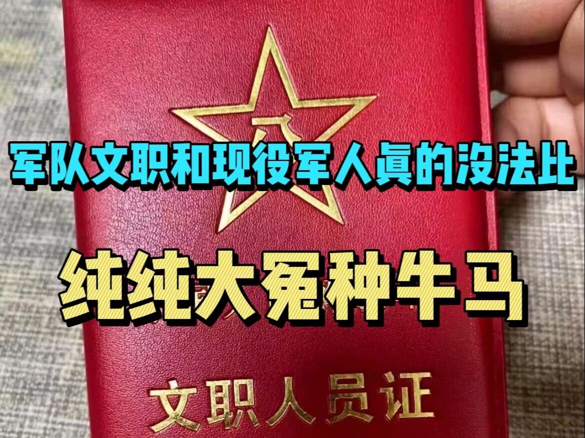 军队文职和现役军人能比?文职只是招进来当怨种牛马的,却要按照现役的标准来要求……|军队文职|备考哔哩哔哩bilibili