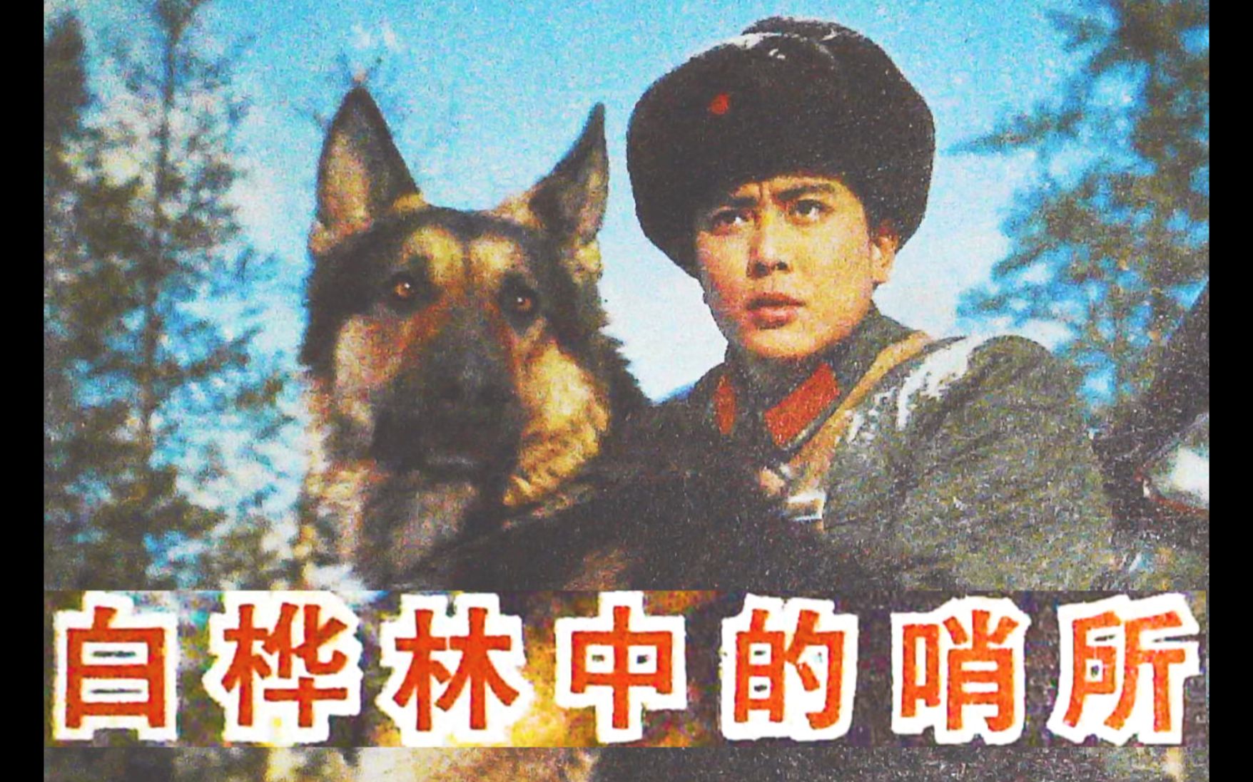 夹杂着酸楚的爱情 老电影连环画 《白桦林中的哨所》(下) (卢军