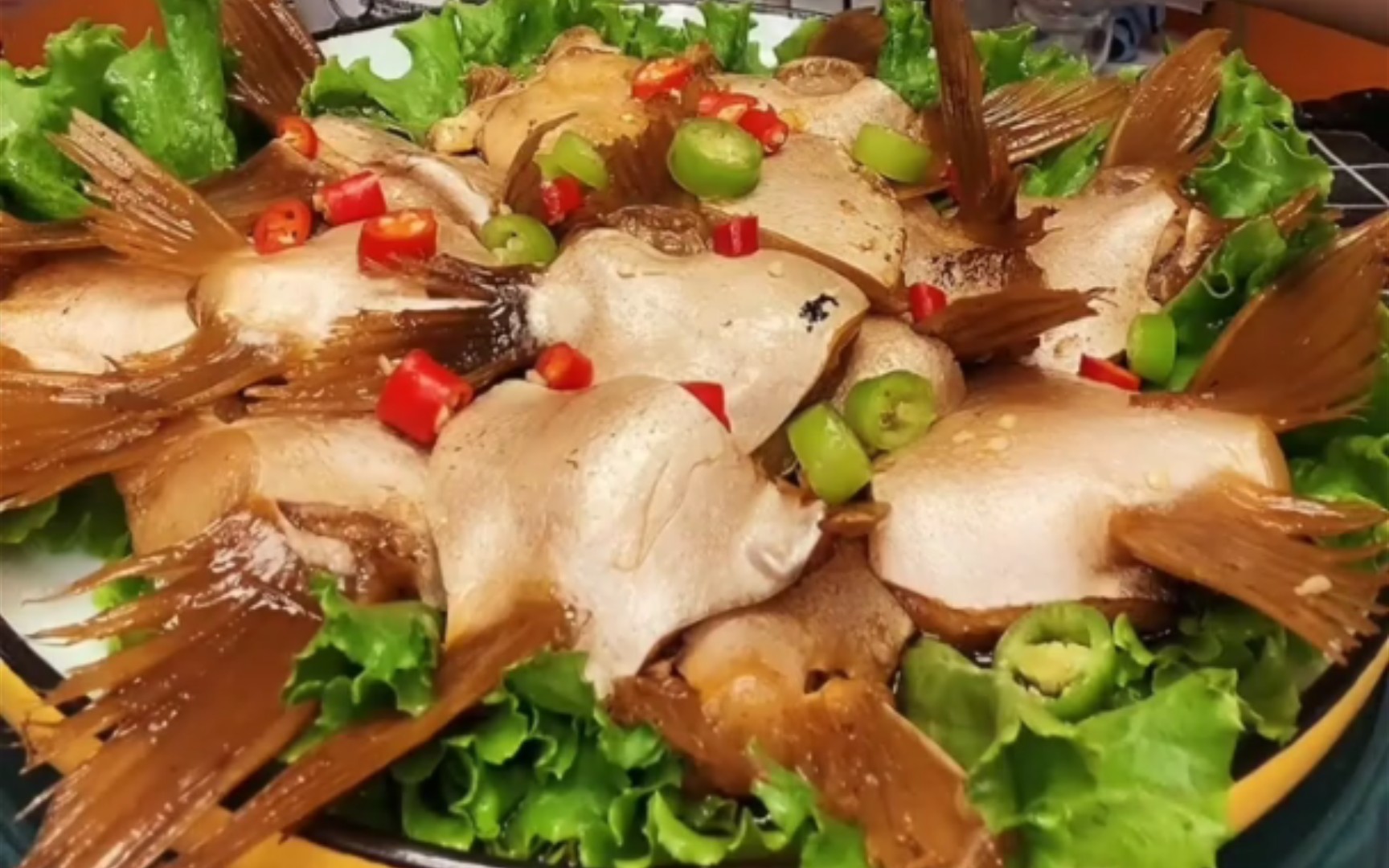 鱼油,鱼下巴合集③[快手剪辑]