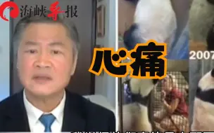 下载视频: 旅美大熊猫“乐乐”离世，赖岳谦痛批美国动物园：恶劣不负责任