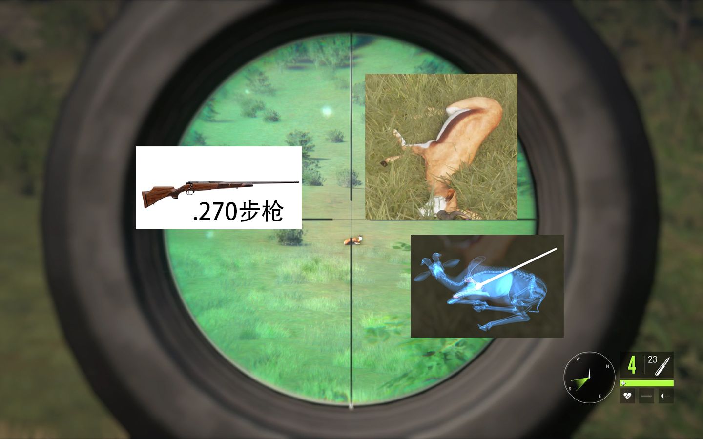 [图]非洲猎02《猎人：野性的呼唤》theHunter_ Call of the Wild