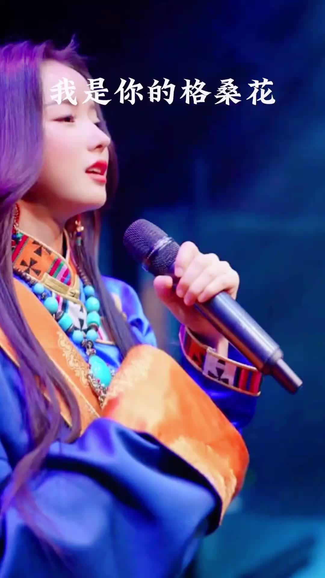 情感歌曲 #你是我的格桑花