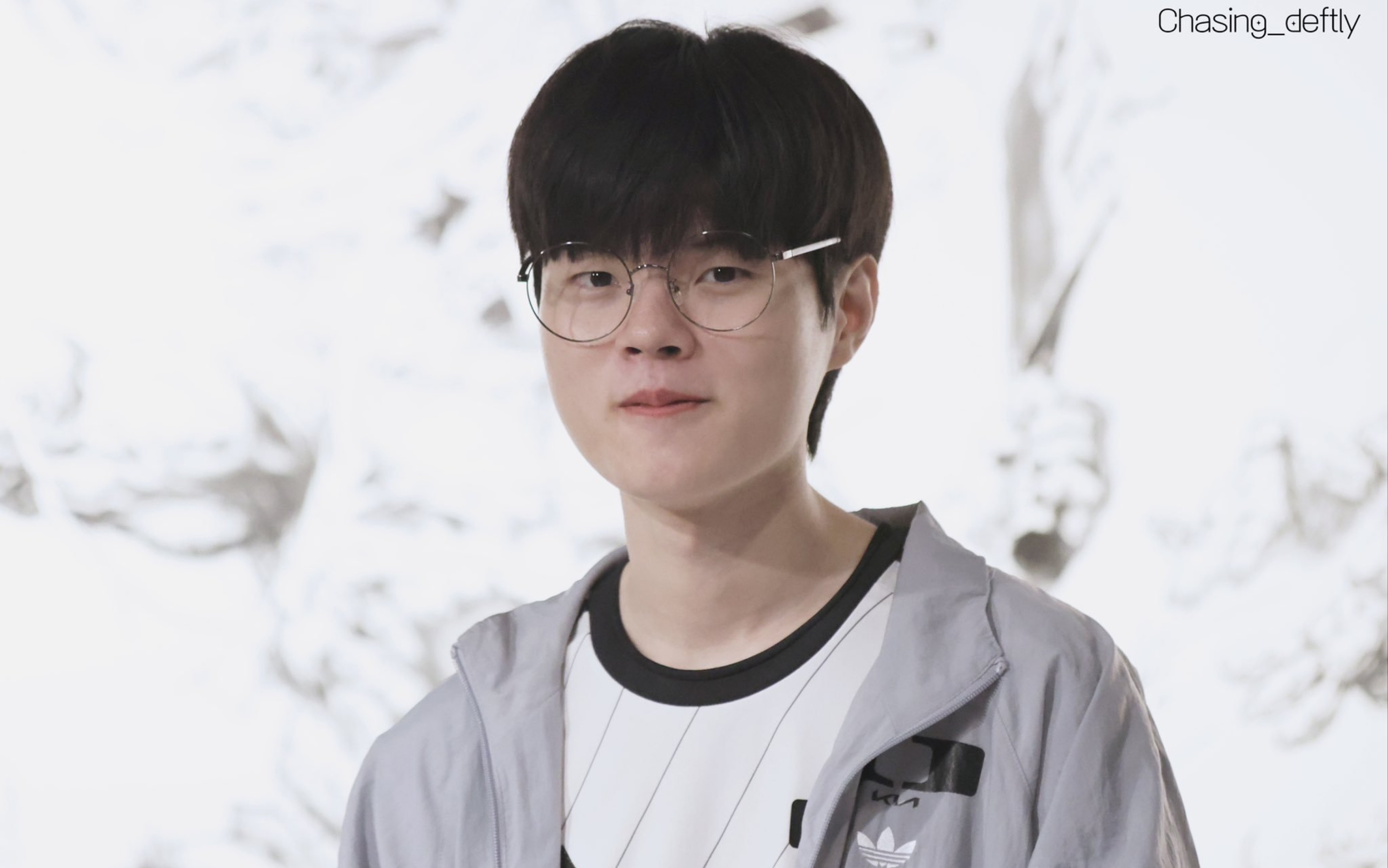 「deft」世界上最适合戴眼镜的一只羊驼!