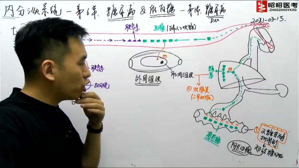 [图]内分泌系统-06糖尿病