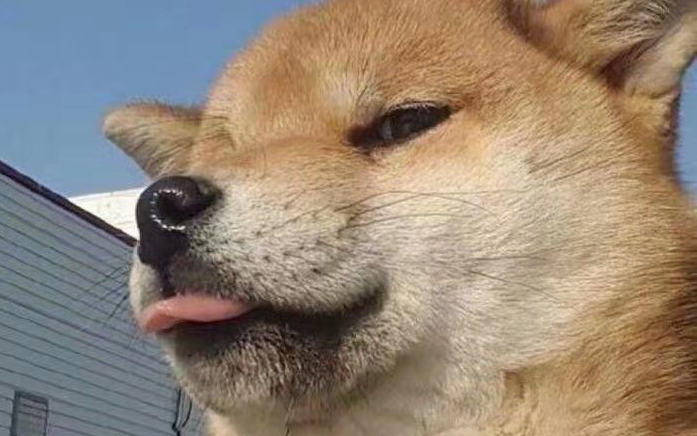 活动作品一个网瘾少年的自述