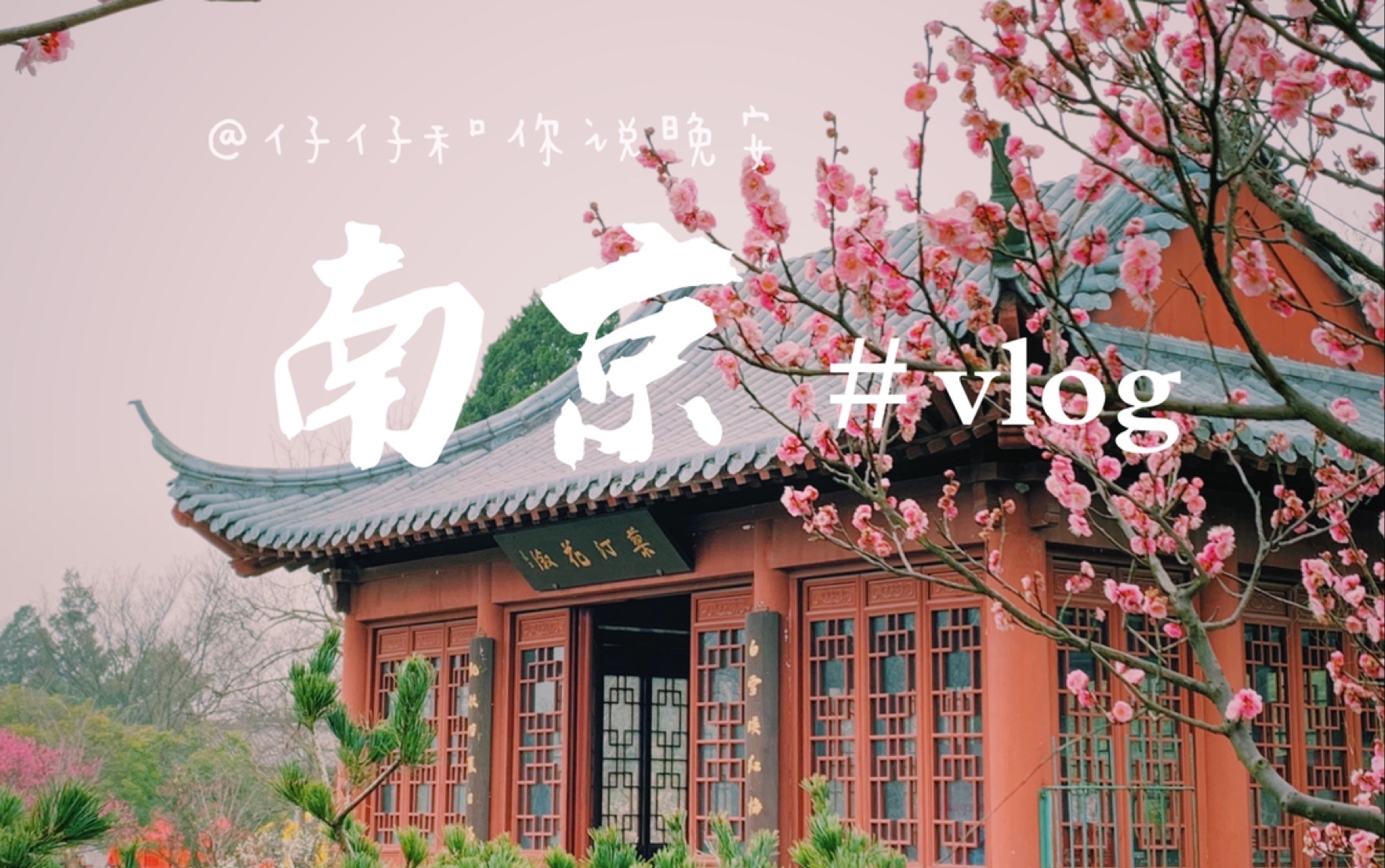 [图]【仔仔】初春南京行/日常vlog/明孝陵梅花山