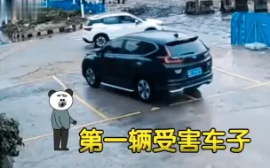 Télécharger la video: 这种停车位要害多少车主