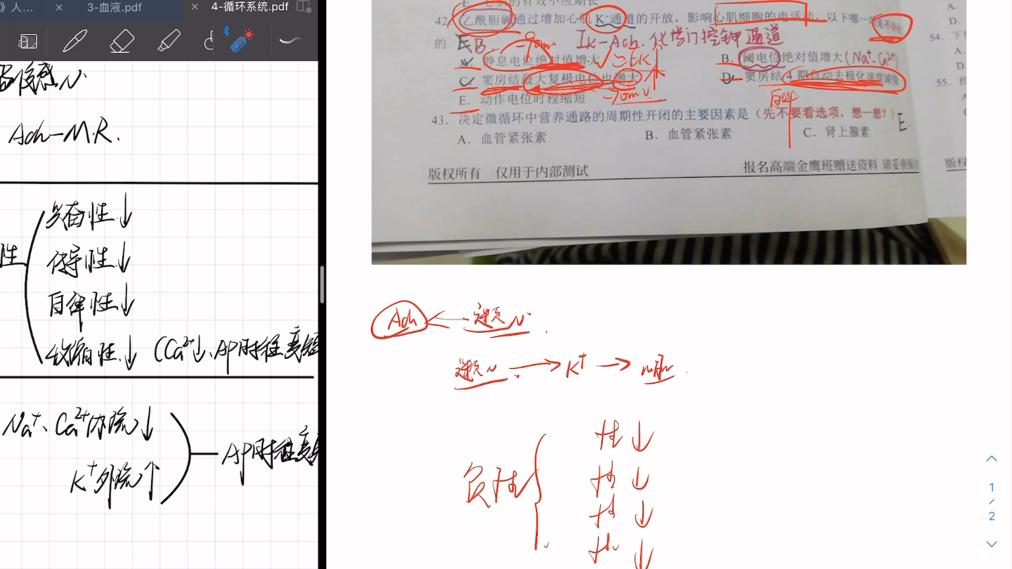 迷走神经即引起心率减慢又引起动作电位时程缩短为什么不矛盾?哔哩哔哩bilibili