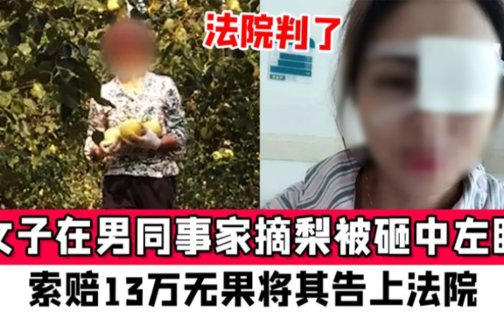 女子帮男同事家摘梨被砸左眼,索赔13万无果告上法院,法院判了哔哩哔哩bilibili